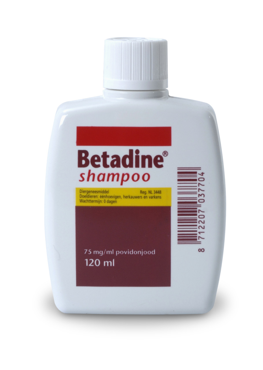 Soms soms Pijnboom Avondeten Betadine Shampoo 120 ml | De Graankorrel