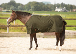 Harry's Horse Outdoordeken Thor 100 Forest Night 