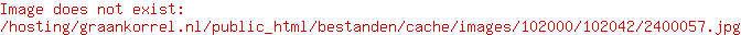 Beeztees hondenspeelgoed Halloween Schedel