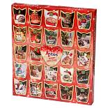 Antos kat Christmas Advent Calendar 200 gr