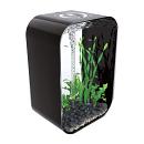 biOrb aquarium LIFE 60 Portrait zwart