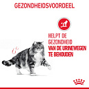 Royal Canin Kattenvoer Urinary Care 4 kg