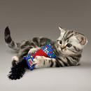 Kong Kickeroo met catnip assorti