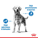 Royal Canin Hondenvoer Light Weight Care Medium 3 kg