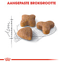 Royal Canin Kattenvoer Sensible 33 10 kg