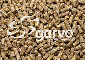 Garvo Ras Krielen Foktoomkorrel 20 kg