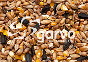 Garvo Gebroken graan met grit en zonnepitten 20 kg