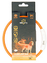 Lichthalsband nylon oranje