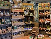 Een impressie van onze winkel