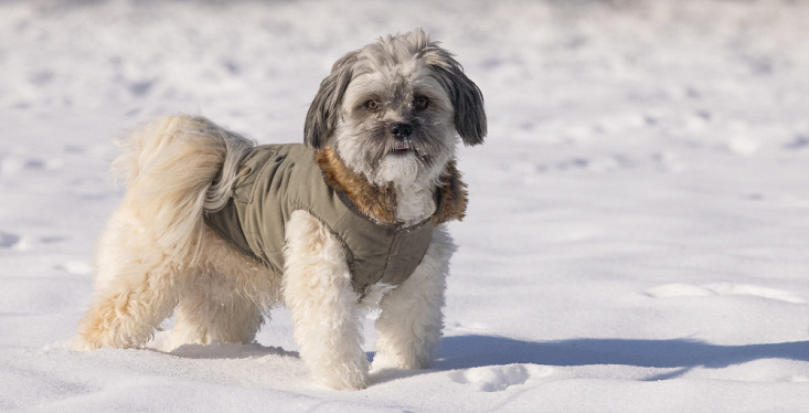 Warm en stijlvol naar buiten