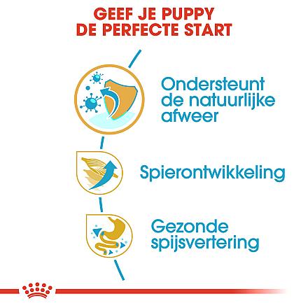 Royal Canin hondenvoer Boxer Puppy 3 kg