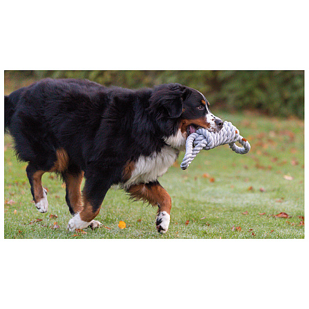 TRIXIE Flostouw Assorti 65 cm