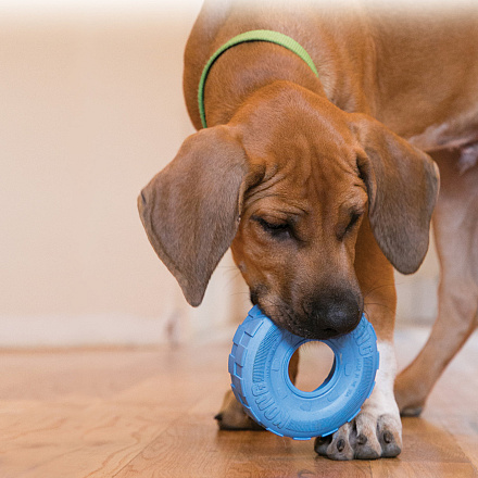 Kong Puppy Tires assorti