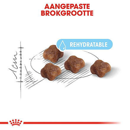 Royal Canin Kattenvoer Mother & Babycat <br>400 gr