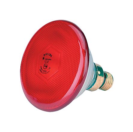 Lamp 175 W rood Philips spaar