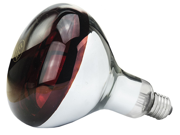 Lamp 250 W infrarood Hard Glas