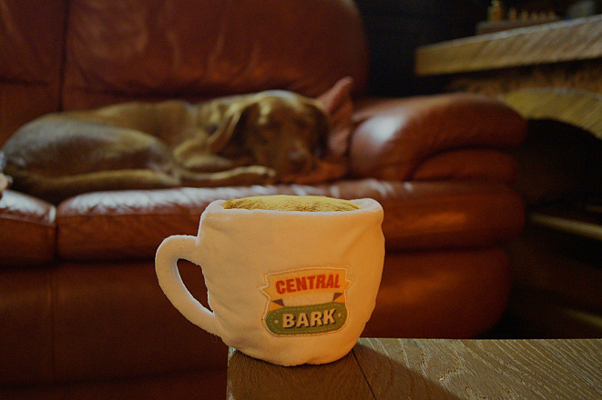 PawStory hondenspeelgoed Cental Bark