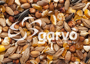 Garvo Ras Gemengd Graan Speciaal 20 kg