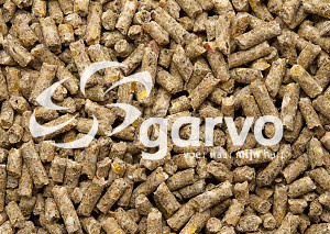 Garvo Ras Krielen Foktoomkorrel 20 kg