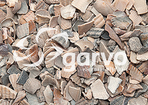 Ostrea Kippengrit nr 4 25 kg