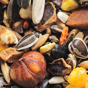 Garvo 1060 - Alfamix Eekhoorn, 11KG