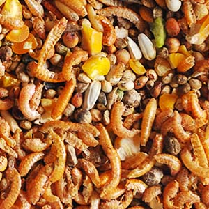 Garvo - 107008 Kippensnoep 800 gram