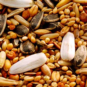 Garvo - 5325 Gropar extra , 20 KG