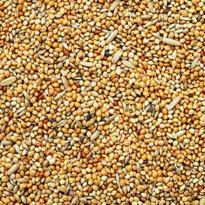 Garvo - 5341 Parkiet speciaal, 20 KG