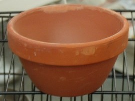 Aarden broedschaaltje 10 cm doorsnede , per stuk