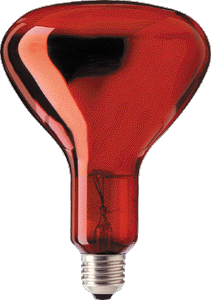 Infra rood lamp, 250 Watt rood