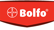 Bolfo