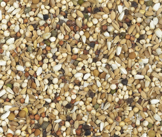 Van Robaeys - Dieet-Extra nr. 26, 20 KG