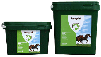 Excellent Fenegriek 1 KG