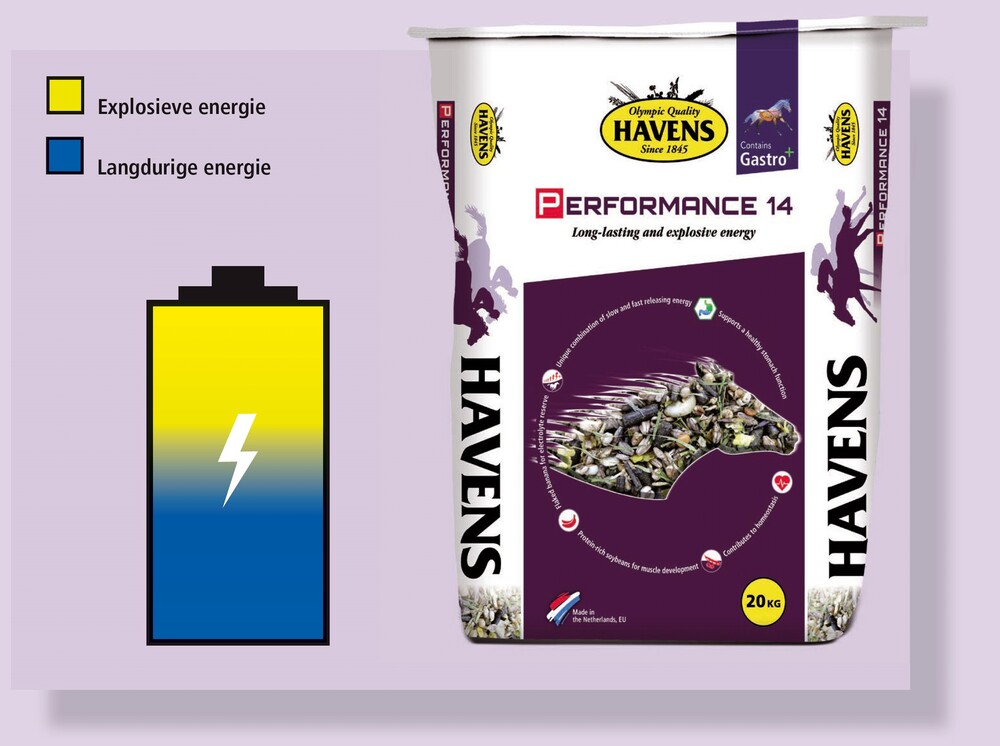 Havens - Performance 14 20 kg
