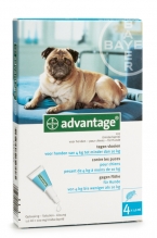 Advantage - Hond 100