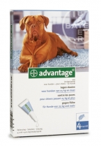 Advantage - Hond 400
