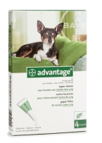 Advantage - Hond 40