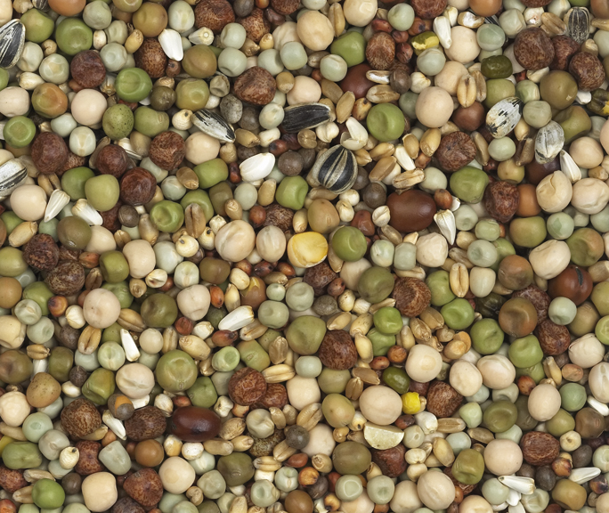 Van Robaeys - Luikse mengeling nr. 11, 25 KG