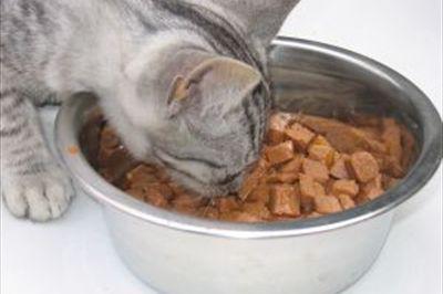 Blikvoer en maaltijdzakjes