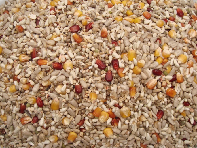 Van Robaeys Top Energy NR 35 20 KG