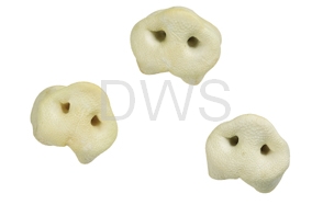 Varkensneus, gevriesdroogd