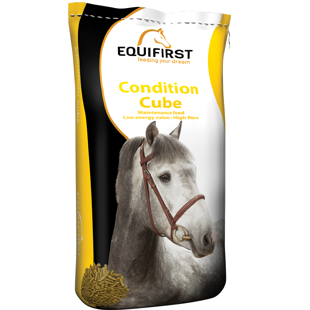 Equifirst condition cube 20kg