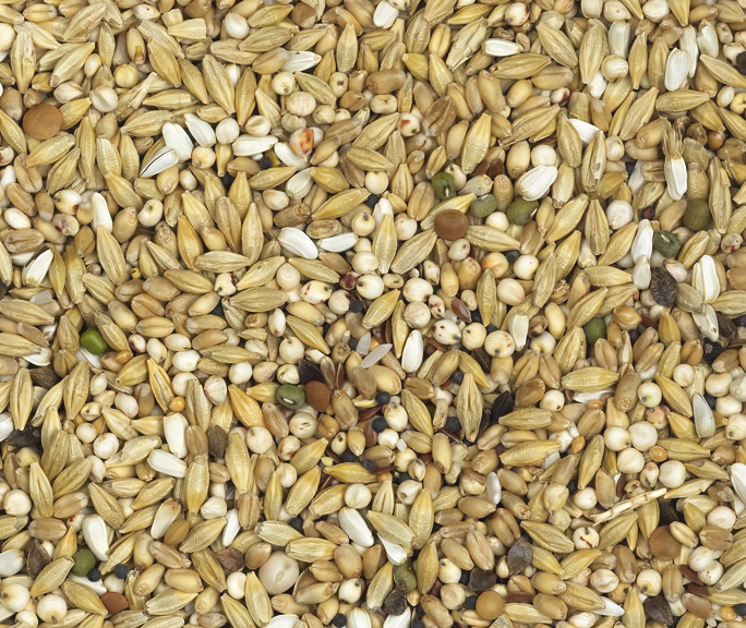 Van Robaeys - Zuivering Speciaal nr. 14, 25 KG